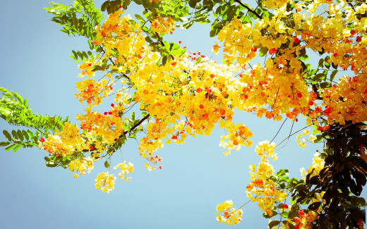 604746 (a): :2560x1600